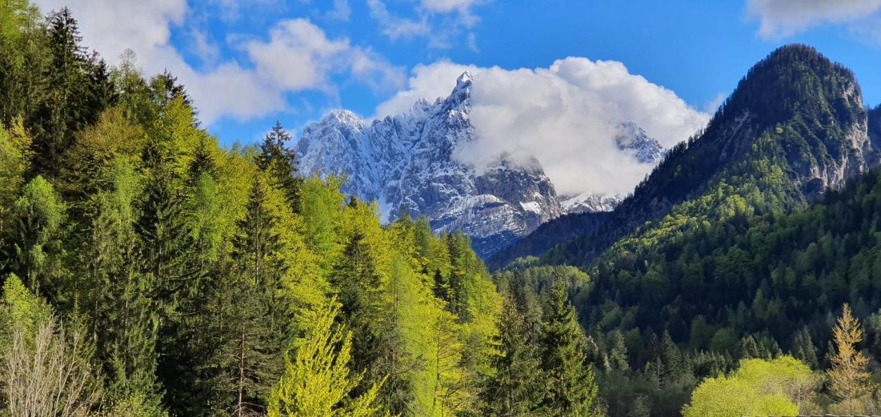 Apartment Alpska Astra Kranjska Gora Ngoại thất bức ảnh