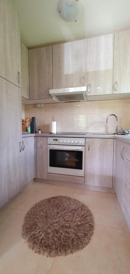 Apartment Alpska Astra Kranjska Gora Ngoại thất bức ảnh