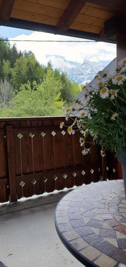 Apartment Alpska Astra Kranjska Gora Ngoại thất bức ảnh